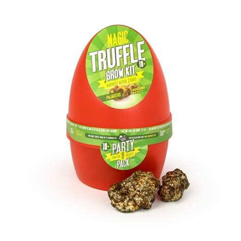 Magic truffles bug
